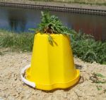 Salford Heat Island